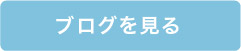 ブログを見る